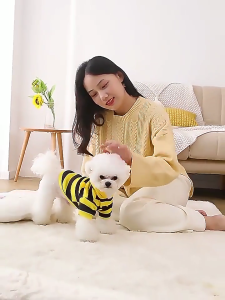 Áo liền mũ cho chó cho trung bình chó lớn Halloween ong Chủ Đề quần áo cho chó mùa xuân quần áo cho chó cho chó sử dụng ngoài trời