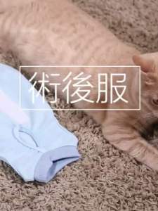 PC-354 ชุดกันเลียแผลสัตว์เลี้ยง สุนัข แมว ชุดหลังผ่าตัดหมา เสื้อแมว ชุดสุนัข ราคาถูก พร้อมส่ง