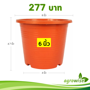 กระถาง กระถางต้นไม้ กระถางพลาสติก เบอร์ 6 นิ้ว สีอิฐ 50 ใบ ชิ้น อัน