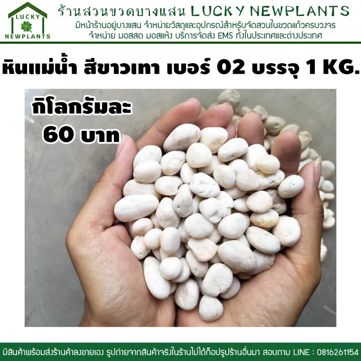 7 อันดับหินแม่น้ำและหินกรวดตกแต่งสวนสวย อัปเดตปี 2025