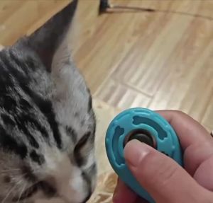 Pet Training Clicker with Wrist Strap  -  Dog Training Clicker ( New Black  +  Blue )