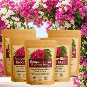 [FLOWER BOOST] Bougainvillea BloomMax 250G Flower Fertilizer for Healthy Growth More Flower Buds & Vibrant Blooms Care