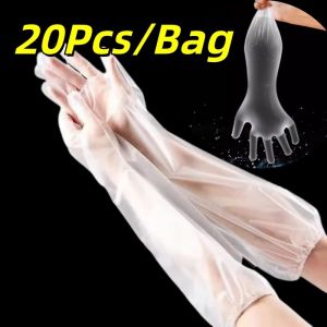 20Pcs/Bag Kitchen Gloves Latex Long Gloves Waterproof Dishwashing Gloves Hand Washing Gloves With Elastic Band