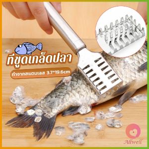 AW ที่ขูดเกล็ดปลา ที่ขอดเกล็ด สแตนเลส เครื่องใช้ในครัว Fish scale scraper
