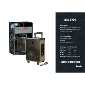BTS-2228 Rechargeable Amplifier Speaker 8“40W InWood Trolley Bluetooth Speaker With Wireless Mic