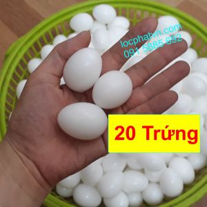 20 trứng bồ câu giả nhựa đặc 100% mới bền CB20TRD
