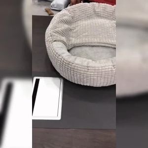 [DANDELION]Dog Bed Hooded Fluffy Orthopedic Round DonutCuddler Anxiety Calming Bed Washable Soft Nonslip Puppy Cat Cave