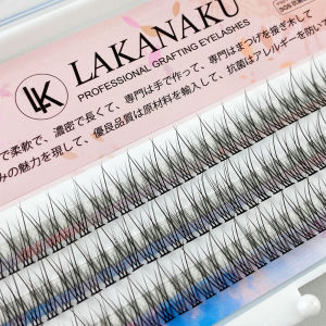 Lakanaku Natural Cluster Fishtail Type Dovetail Eyelash Extension Soft Premade Volume False Grafted Thick Lash