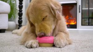 Dog Toys for Aggressive Chewers Dog Enrichment Toys Anxiety Relief for Dogs Toy Indestructible Frozen Treat Toy NationalDay Gifts for Large Dogs Peanut Butter Reduces Anxiety Donut