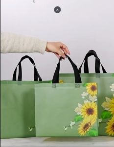 Premium Fabric Non Woven Gift Bag Waterproof Reusable Eco Friendly (32cm x 27cm x 10cm)