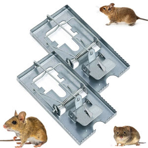 Bẫy Chuột Vuông Răng Cưa ( 15 * 9cm ) 1 cái