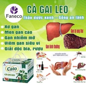hộp 39 gói Cao uống liền trà  CATO Cà Gai Leo