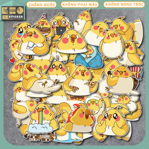 Combo 50 Sticker Yellow Chicken chống nước sticker dán laptop điện thoại đàn guitar mũ bảo hiểm vali.