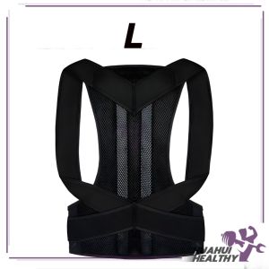 ที่รัดหลัง แก้ปวดหลัง พยุงทั้งหลัง แก้หลังค่อม เสื้อพยุงหลัง สปริง 8 เส้น เข็มขัดเซฟตี้ แก้ปวดหลัง