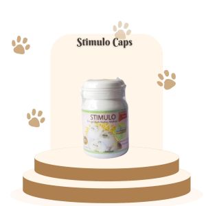 STIMULO CAPSUL 12 - Vitamin Kucing Penambah Nafsu Makan Kucing