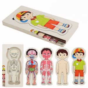 Bộ Ghép Hình Bộ Phận Cơ Thể Người Chất Liệu Gỗ Đa Lớp – Đồ Chơi Nhận Thức Sớm Mới Nhất 2025