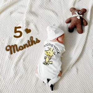 Baby Full Month Hundred Days Photo Props Handy Tool Baby Shower Party Decoration