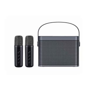 New High Power Portable Speakers Karaoke Dual mic Rechargeable Long Duration Portable Speaker HOME KTV