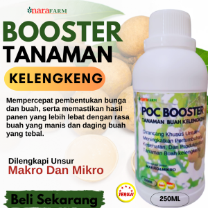 Pupuk buah khusus kelengkengPupuk pelebat buah kelengkengPupuk buah kelengkeng super lebat