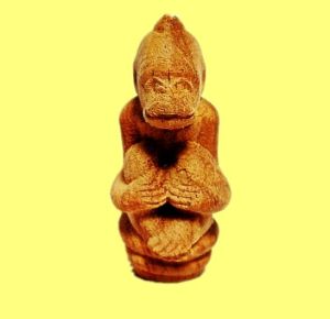 Beyond Destiny Monkey has casing 超越命运神奇灵猴 龙婆希拉 已经包好防水壳 WAT PA SONGTHAM