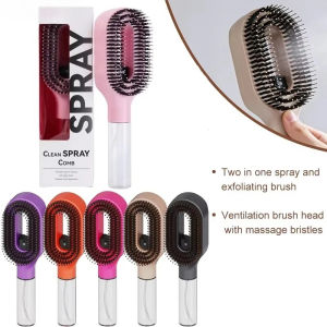 2-in-1 Multi-functional Spray Bottle Comb Wet Dry Scalp Massage Bristle Comb Salon Fluffy Modeling Comb Gift for Girl Women