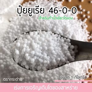 Ratjat ปุ๋ยยูเรีย 46-0-0 เร่งการเจริญเติบโต สําหรับทําน้ําเขียวไรแดง (1กก. น้ําหนักรวมแพ็คเกจ)