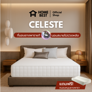 Home Best [ส่งฟรี] รุ่น Celeste หนา 6 นิ้ว ที่นอนยางพาราHybrid แก้ปวดหลัง แถมฟรีหมอนยางพาราแท้