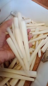 Once pipa tulaang kaki sapii panjang