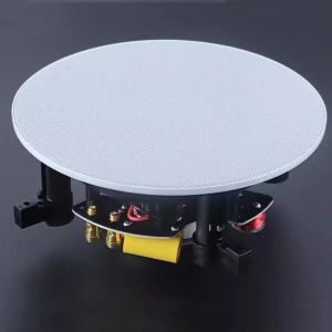 btnx Background music system suitable for shops conferences and homes - coaxial constant impedance ceiling speakers R6P8Q