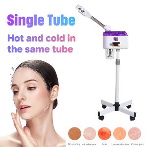 Hot And Cold Spray Machine Facial Steamer Nano Home Spa Ozone Steaming Ion Sparyer Skin 蒸脸器 美容仪