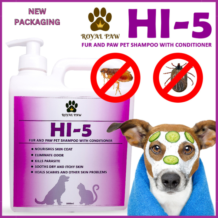 Scabies shampoo best sale for dogs