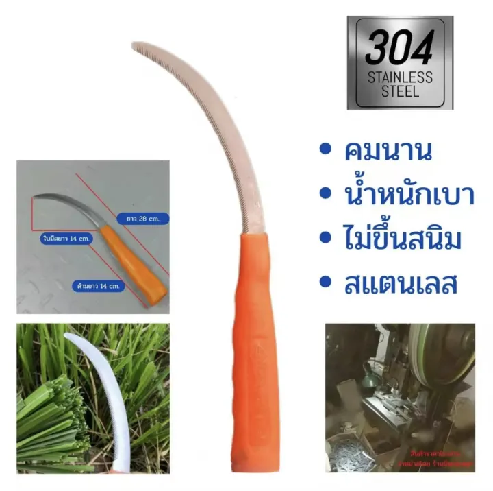 เคียวตัดหญ้าเกี่ยวข้าว 304 Stainless Steel ด้ามส้ม คมทนนาน