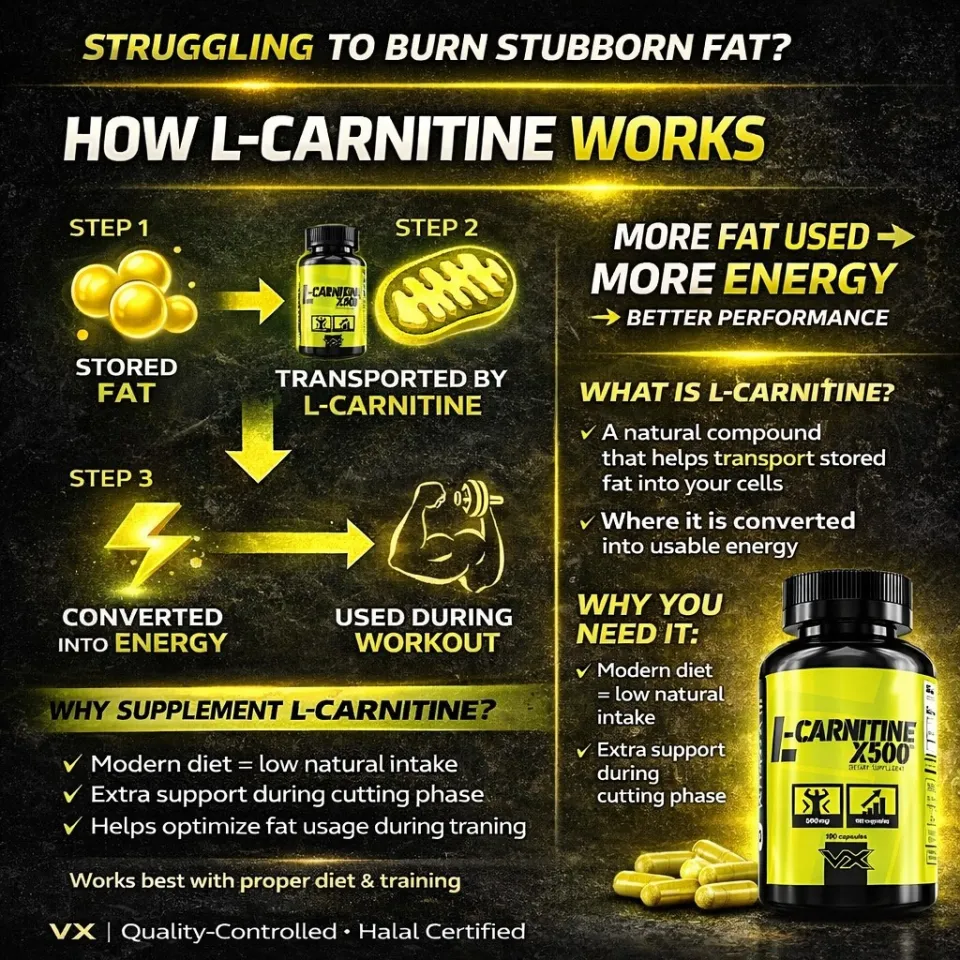 l carnitine vitaxtrong L-Carnitine the tropical essence of pineapple coconut VITAXTRONG Fasting Shred Stack (CLA