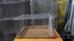 Lồng Bẫy chuột - Lồng Bắt Chuột Cở Trung 24X 18X 14 cm