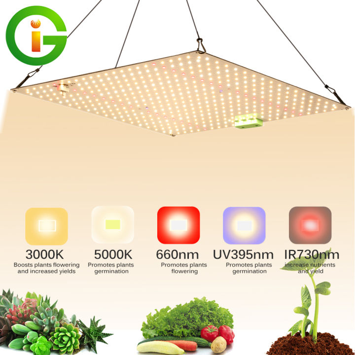 Samsung Quantum ไฟปลูกต้นไม้ LED Grow Light LM281B Full Spectrum 650W ...