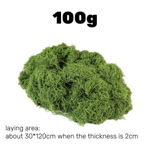 100g Artificial Moss Fake Moss Grass for Garden Plants Bonsai Flower Decoration Mini Landscape Lawn