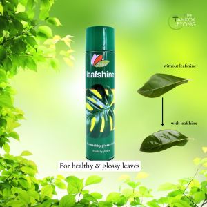 TKL - Leafshine Sprayer 600ml 亮叶剂