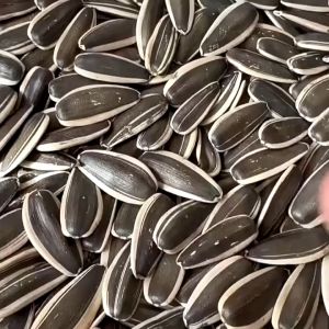 【BUY 1 GET 1】A+ Imported 500g Sunflower seeds melon seeds snacks family snacks large package