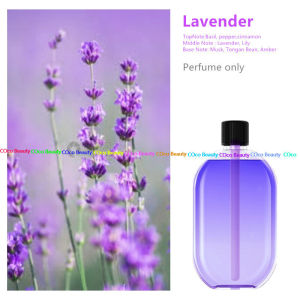 Automatic Fragrance Machine Aroma Diffuser Rechargeable Air Humidifiers Digital Display Air Freshener Perfume香氛机香薰机