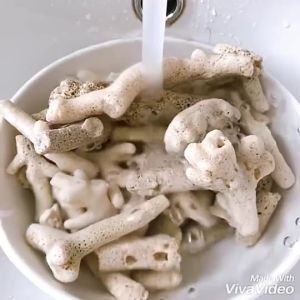 San Hô Vụn 3KG Lọc Nước Bể Cá Tăng pH Ổn Định Vi Sinh Tốt