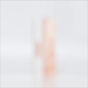 QIBEST Foundation Matte Oil-contol Soft Face Base Waterproof Moisturizer Full Coverage Concealer Foundation Makeup Fac