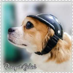 Helm Anjing Kucing - Pet Helmet - Helm Hewan Peliharaan - Bahan Berkualitas