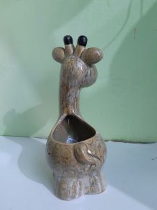 Chaqu65 trồng cây hưu cao cổ