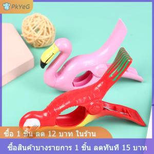 [COD] PkYeG คลิปผ้าขนหนูพลาสติกสำหรับ sunbeds Sun เก้าอี้ตกแต่งเสื้อผ้า