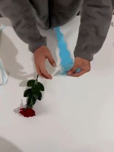 50Pcs Single Flower bouquet wrapper Valentines wrapper Single Rose Packaging Flower wrapper Flower wrapping paper Love Single Flower Packaging Bag Bouquet Gift Wrapping Paper Fuzzy wire Flower Wrapper Flower Bouquet Sleeves wrapper for bouquet 45*4*12cm