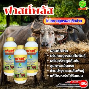 โคนมได้คุณภาพดี เพิ่มปริมาณน้ำนม ปรับสมดุลของฮอร์โมน เร่งการสืบพันธุ์ เพื่อการผสมติดง่าย ฟาสท์พลัสไคโตซาน ฝาสีทอง3ขวด อาหารผสมสำหรับสัตว์