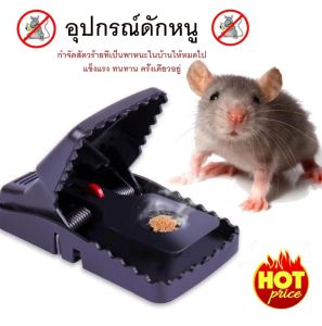 ที่ดักหนูแบบสปริง อุปกรณ์ดักหนู เหยื่อดักหนู สารกำจัดหนู กับดักหนูสปริง mouse traps ใช้ซ้ำได้ ความไวสูง