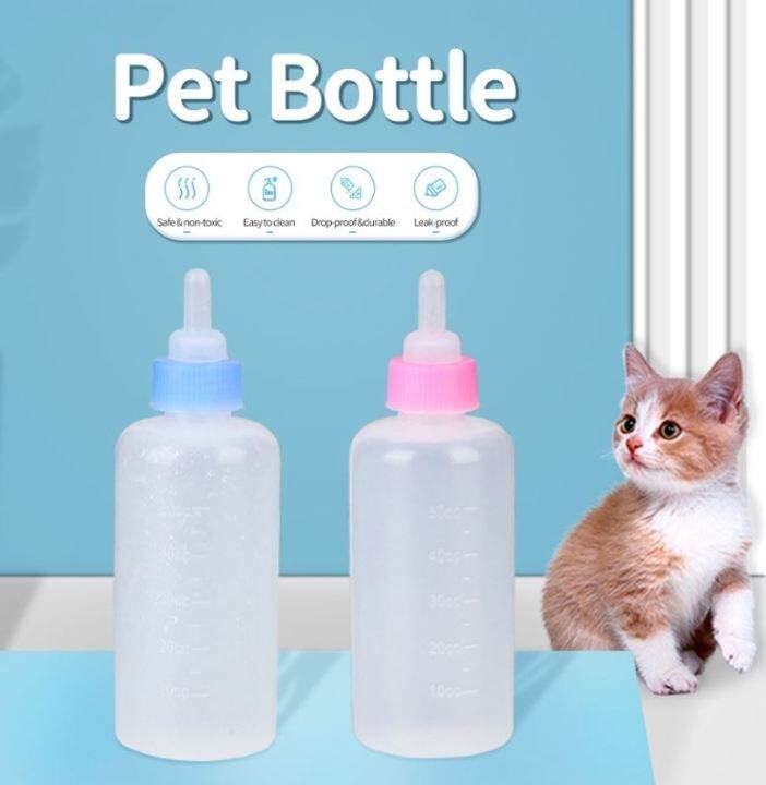 Dog top feeding bottle