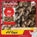 คราบจักจั่น (กิมเซี้ยง) 蝉蜕 ขนาด 1 กิโลกรัม. 