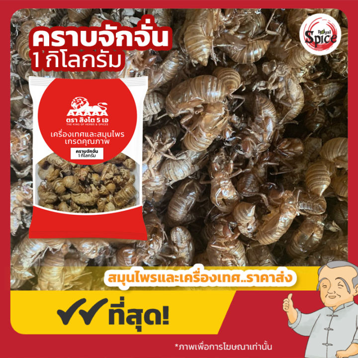 คราบจักจั่น (กิมเซี้ยง) 蝉蜕 ขนาด 1 กิโลกรัม